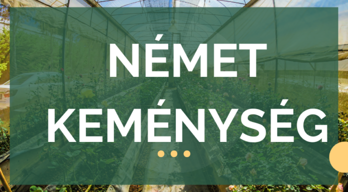 német keménység